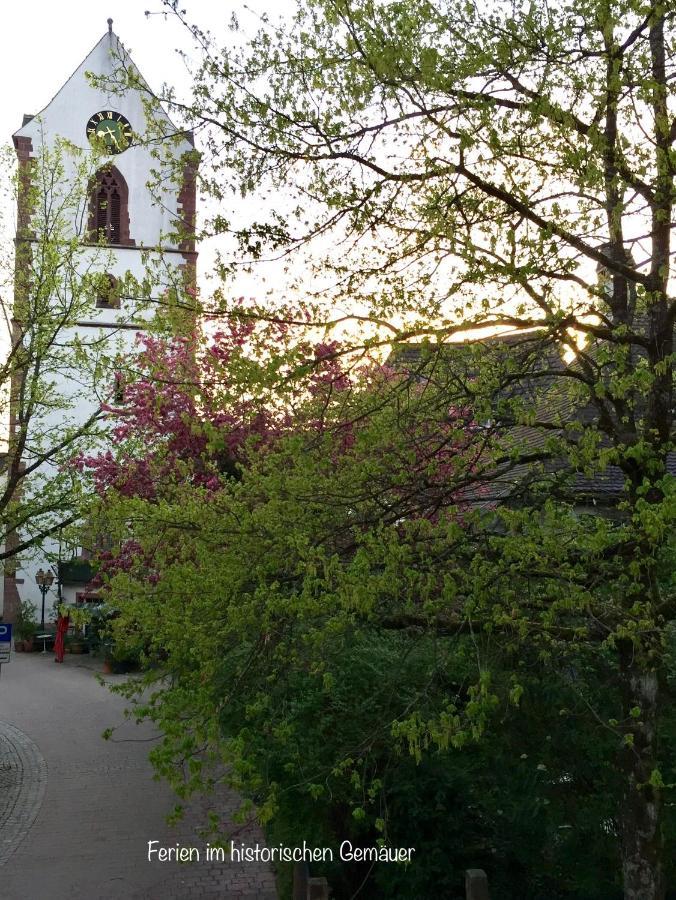 Appartment Entegast - Edles Landhausflair Zum Geniessen Schopfheim Luaran gambar
